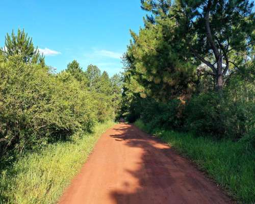 Se Vende Chacra de 3 Ha con Arroyo