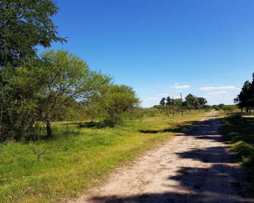 Arocena. Lote en Venta. Frente Laguna