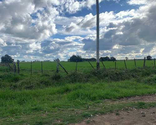 19 Hectareas en Venta en Benito Juárez