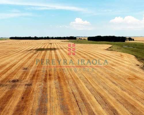 Excelente Campo Mixto en Venta. Juan N Fernandez - Necochea
