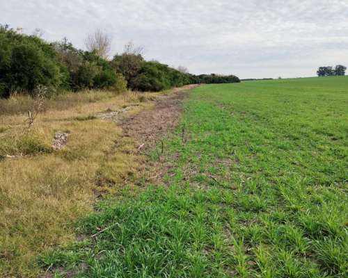 Campo Agricola 69 Hectareas Entre Rios
