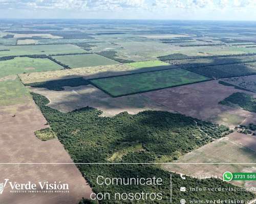 134 Has en Venta - Pcia del Chaco, Campo Largo