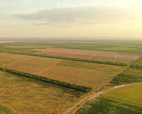 Los Cerrillos, Junín, San Luís - 1.870 Ha