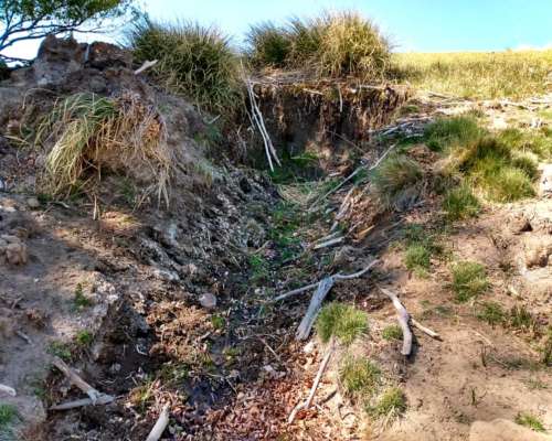 Vendo 18.800 Ha Rio Negro