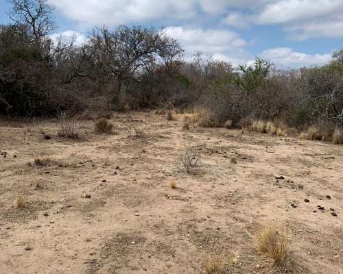 3000 Has. Aptitud Ganadero a Desarrollar en Rumiaco