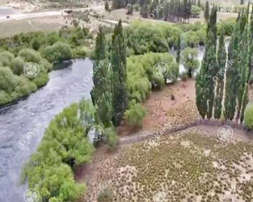 Chacras en Venta Sobre Rio Limay en Rio Negro