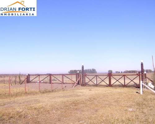 275 Has Gral. Alvear