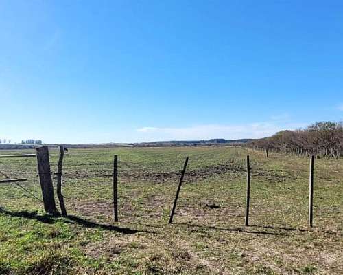 2 Campos de 24 Hectáreas C/U