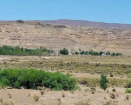 Hectáreas a Refinanciar con Título