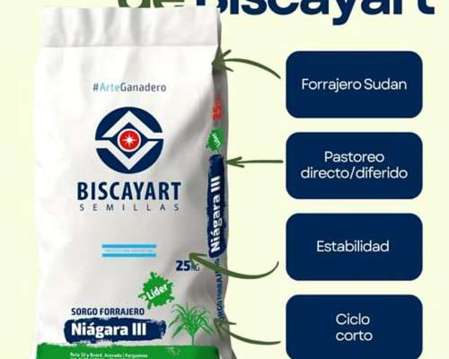 Sorgo Forrajero Niagara III