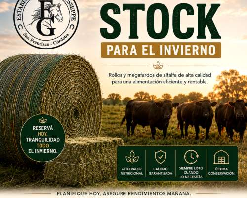 Rollos, Megafardos y Fardos Alfalfa Campaña 2025/2026