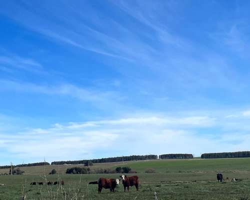 Campo Venta en Uruguay. Paysandú