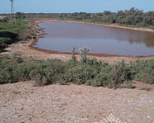 Campo Ganadero 5900 Has. Chañar. la Rioja