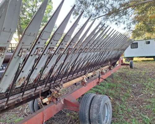 Girasolero Maizco 18 a 52 Bandeja Fina