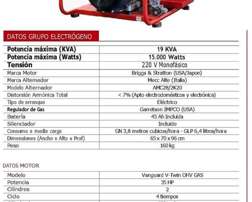 Grupo Electrogeno a GAS Briggsystratton 19kva Monofasico