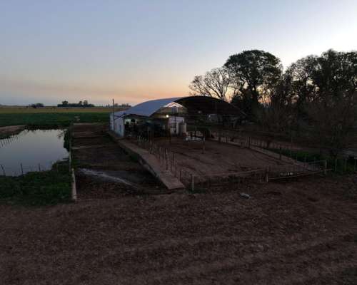 68 Has Sobre Rp65. San Jerónimo. Tambo.