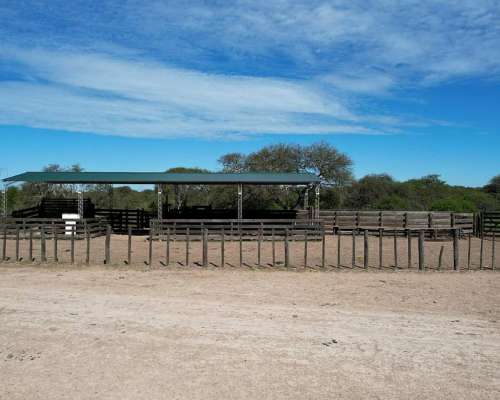 Ceibas, Gualeguaychú, Entre Ríos - 1.000 Ha