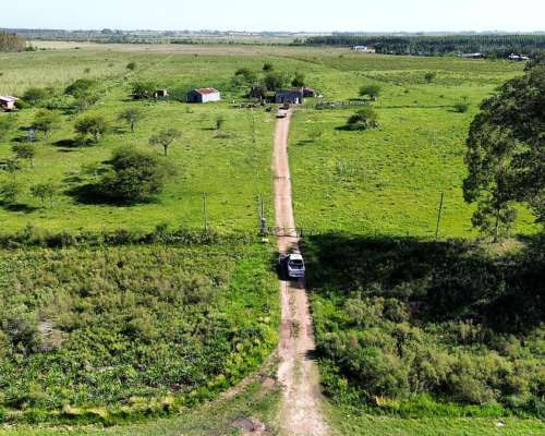 Vendo Campo 20 Has en Ruta 39 Concepción del Uruguay Entre R