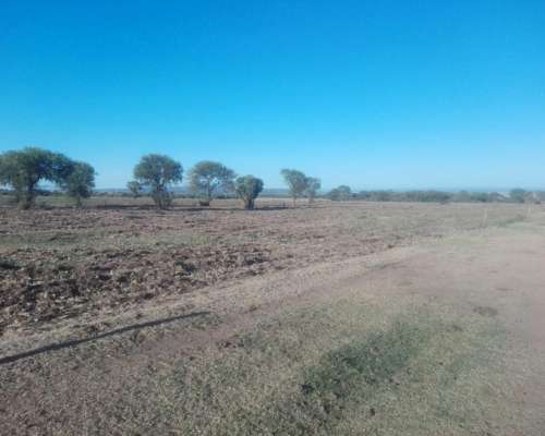 Papagayos - 1034 Ha - San Luis