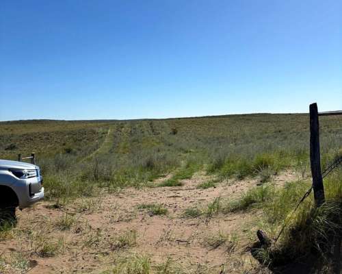 4855 HS. Ganaderas en Algarrobo (BS As).