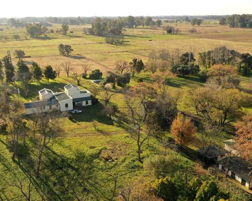 Mercedes, Buenos Aires - 35 Ha