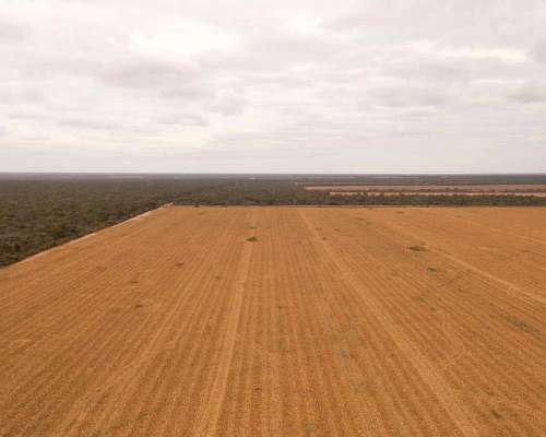 Pcia. de Salta - el Quebrachal 645 Has