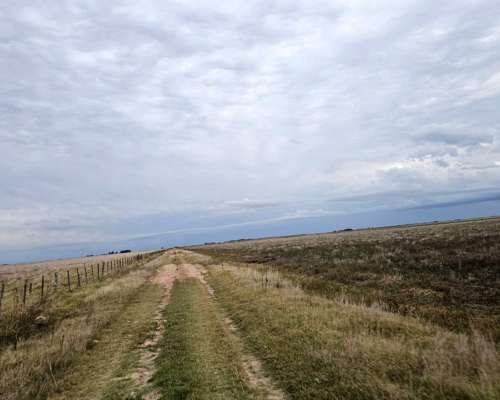 Campo Alquiler Pila 4400 Ha