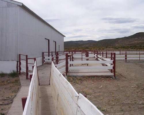 Campo Chubut 165.429 Hectareas Costa de Rio Potencial Eólico