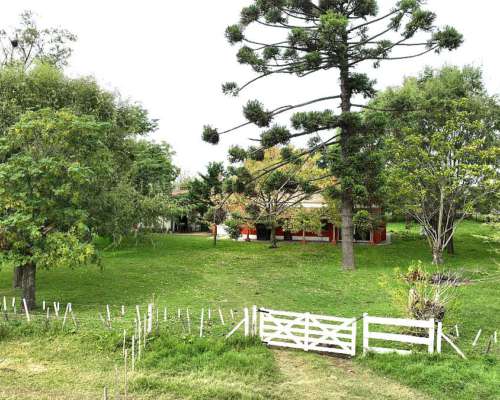 140 Has. Campo Mixto con Mejoras y Arboleda en Mercedes