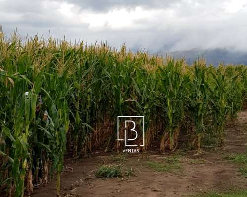 Campo Agricolas en Villa del Carmen, San Luis, Argentina.