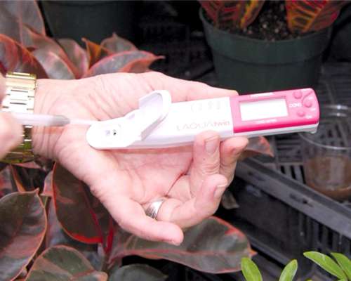 Laqua Twin EC Meter (conductividad)