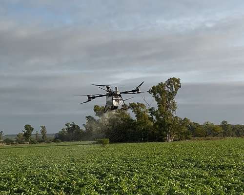 Fumigacion, Fertilizacion y Siembra con Drone Agricola T100