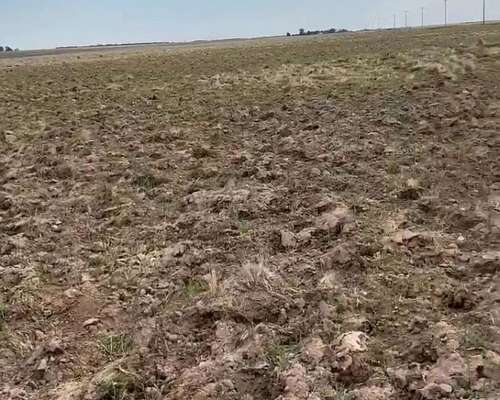 500ha Agrícola-ganaderas Sobre Ruta Nacional 35