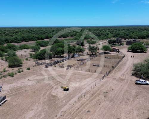 Campo Ganadero- 3.000 Ha en Chuña, Córdoba