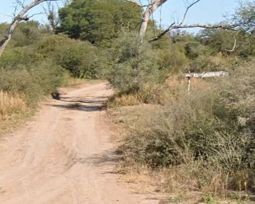 Se Vende Campo, Excelente Zona Agricultura