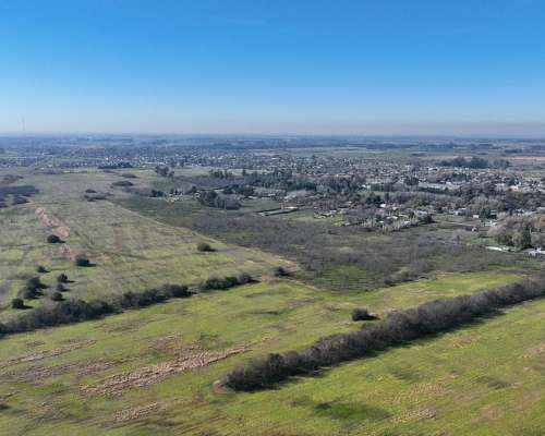 Pcia. de Buenos Aires - Marcos PAZ 185 Has