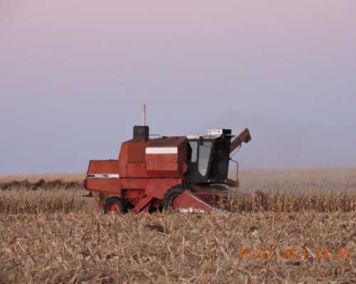 Cosechadora Vassalli 1200 Hidrostática