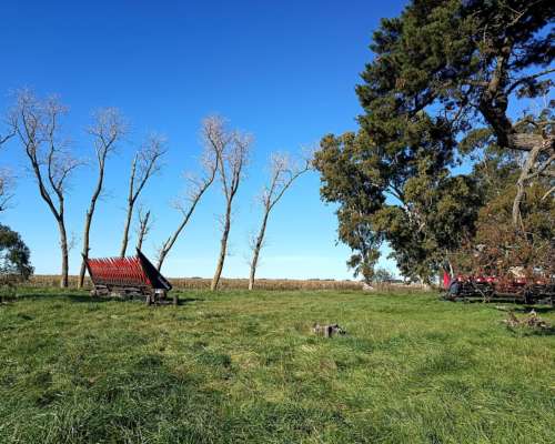 207 Ha Agricola Ganadero-vivorata