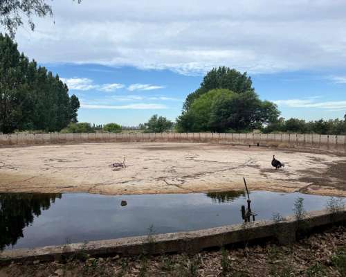 Finca de 48.8 Ha en la Dormida, Santa Rosa