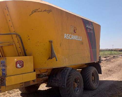 Mixer Vertical Ascanelli RS2600