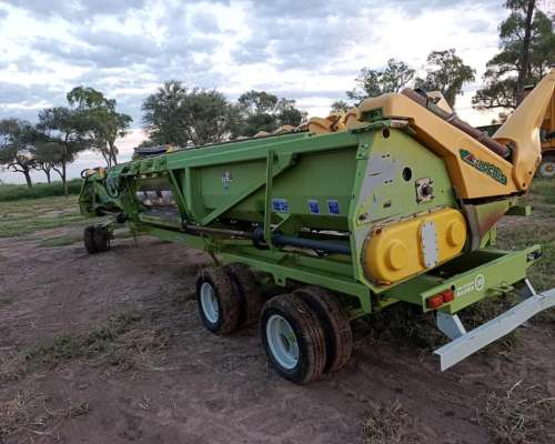 Allochis 16 a 52 año 2019