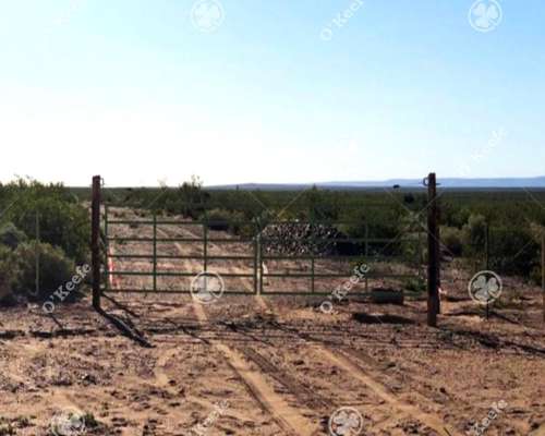 Campo en Venta de 2785 Has en Neuquen