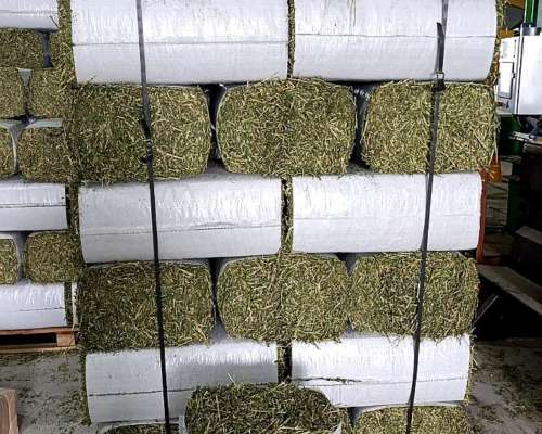 Fardos Compactados de Alfalfa