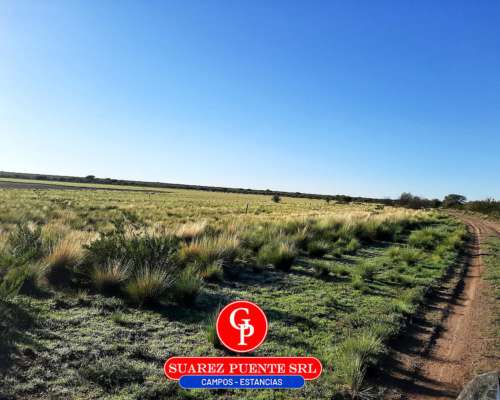 En Venta 3.500 Has Cuchillo CÓ la Pampa.-
