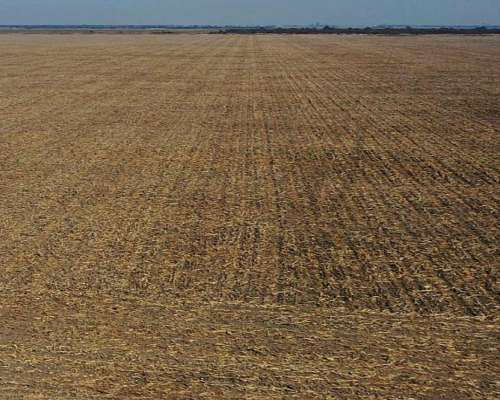 Venta Campo Agricola a Tranquera Cerrada (hacienda Bradford)