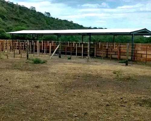 Campo Ganadero Dean Funes