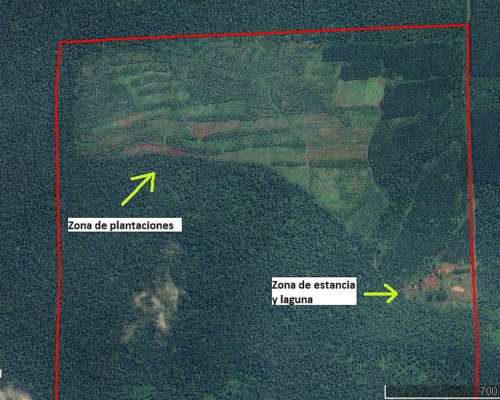 Campo de 300 Ha en Jardín América, Misiones