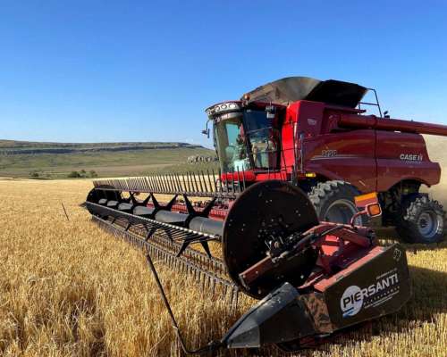 Cosechadora Case IH 7150, año 2023, 1.000 Hs Rotor, 1.800 Hs