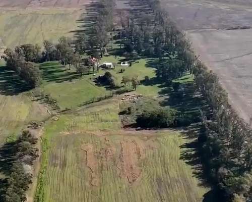 Campo 44 Hectáreas con Casco Colonial