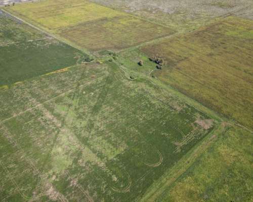 Venta. 174 Has Mixtas en Departamento San Jerónimo.